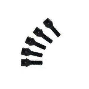Originele BMW wielbouten set van 5 stuks
